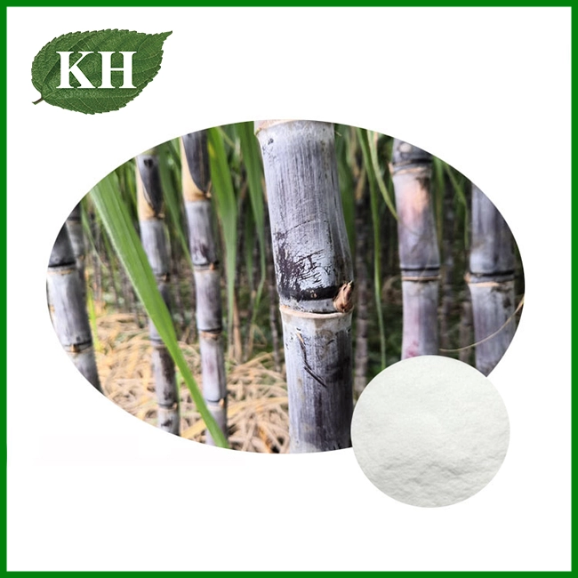 Octacosanol C-28 - Plant Growth Stimulant